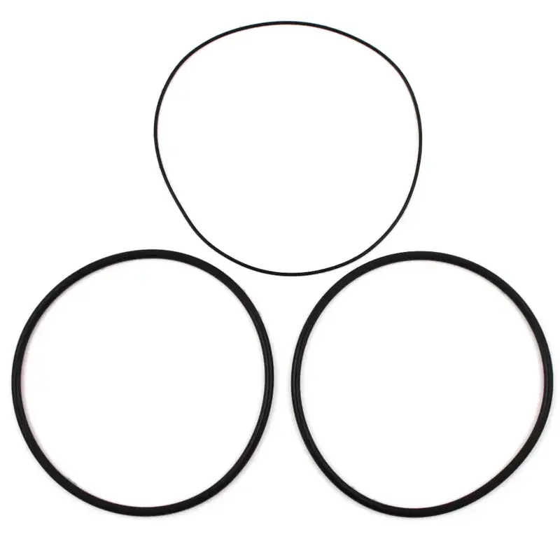 BlueRobotics Spare O-Ring Set (8" Series)