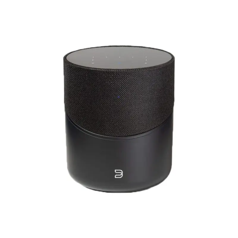 Bluesound P230 PULSE M Wireless Bluetooth Speaker (Satin Black)
