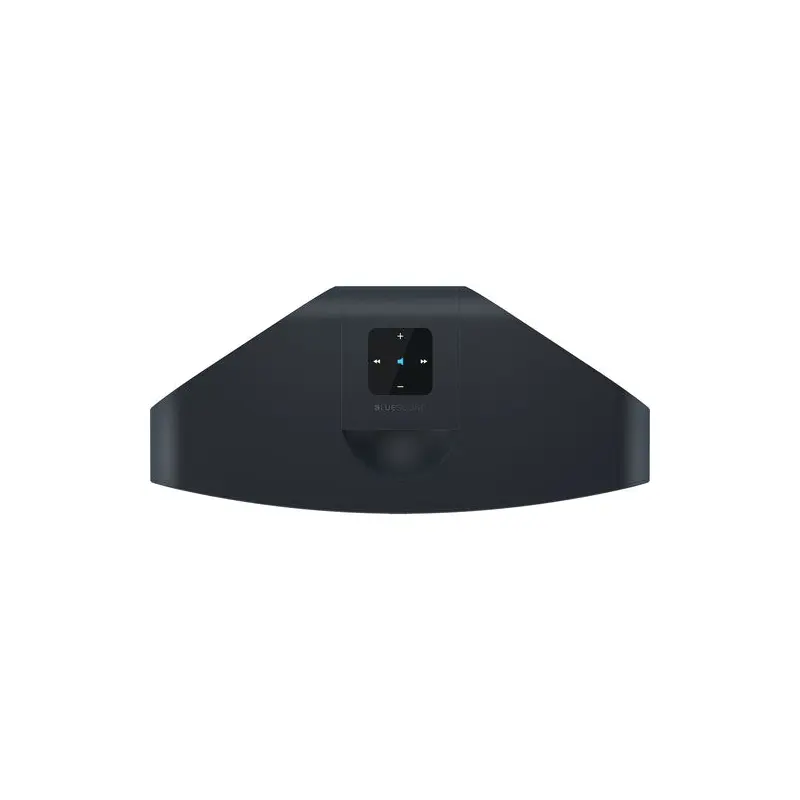 Bluesound PULSE 2i Wireless Speaker (Black Matte)