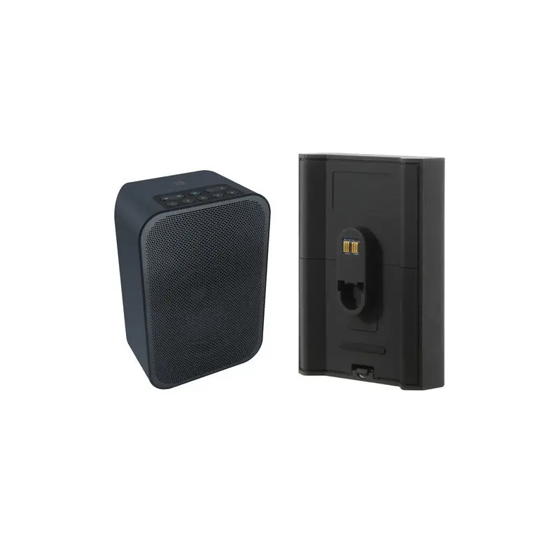 Bluesound PULSE FLEX 2i Wireless Speaker and Battery Pack Bundle (Matte Black / Black)