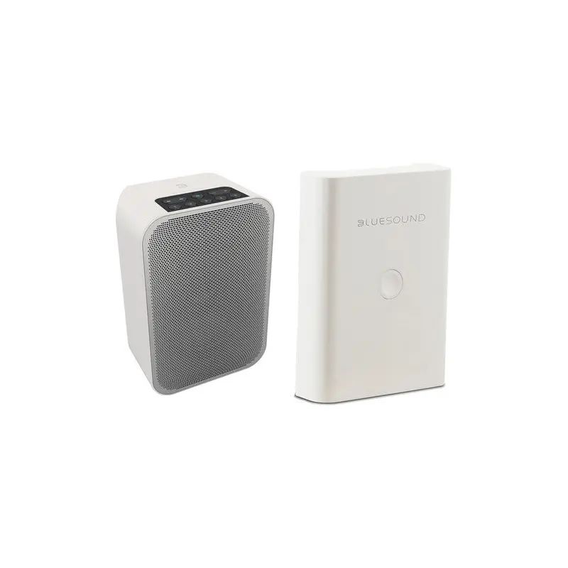 Bluesound PULSE FLEX 2i Wireless Speaker and Battery Pack Bundle (Matte White / White)
