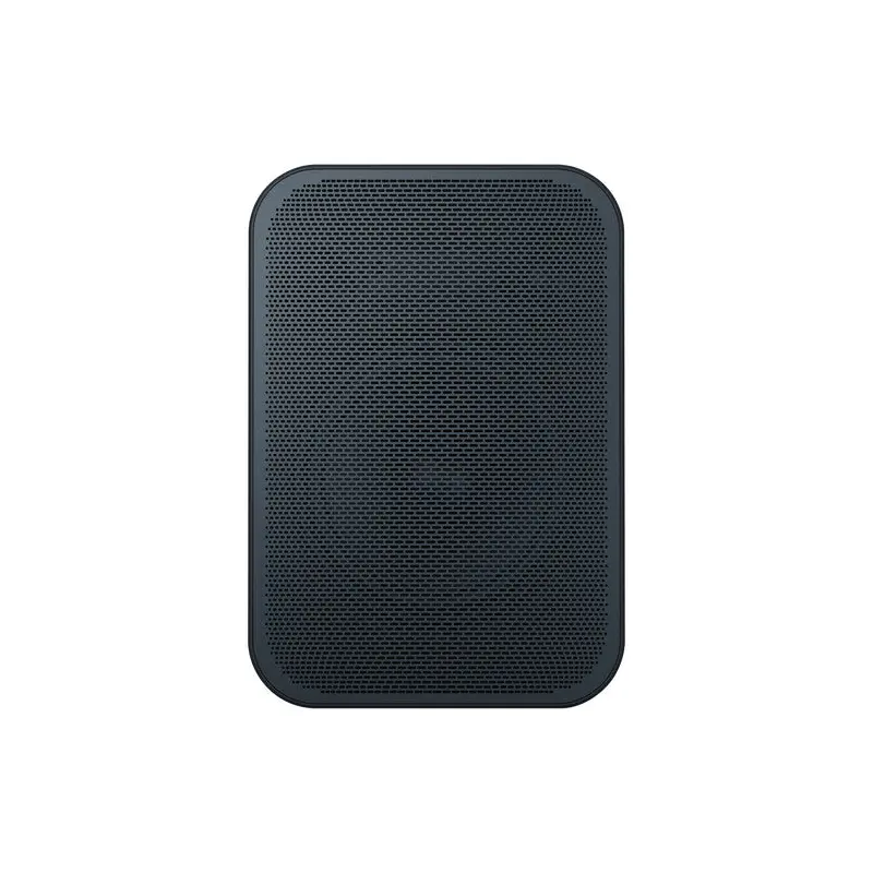 Bluesound PULSE FLEX 2i Wireless Speaker (Matte Black)