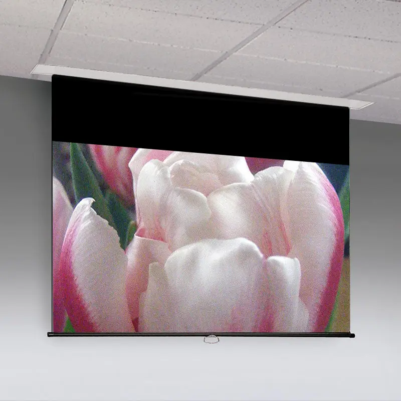 Draper 197019 Access/Series M 175 diag. (105x140) - Video [4:3] - Matt White XT1000E 1.0 Gain