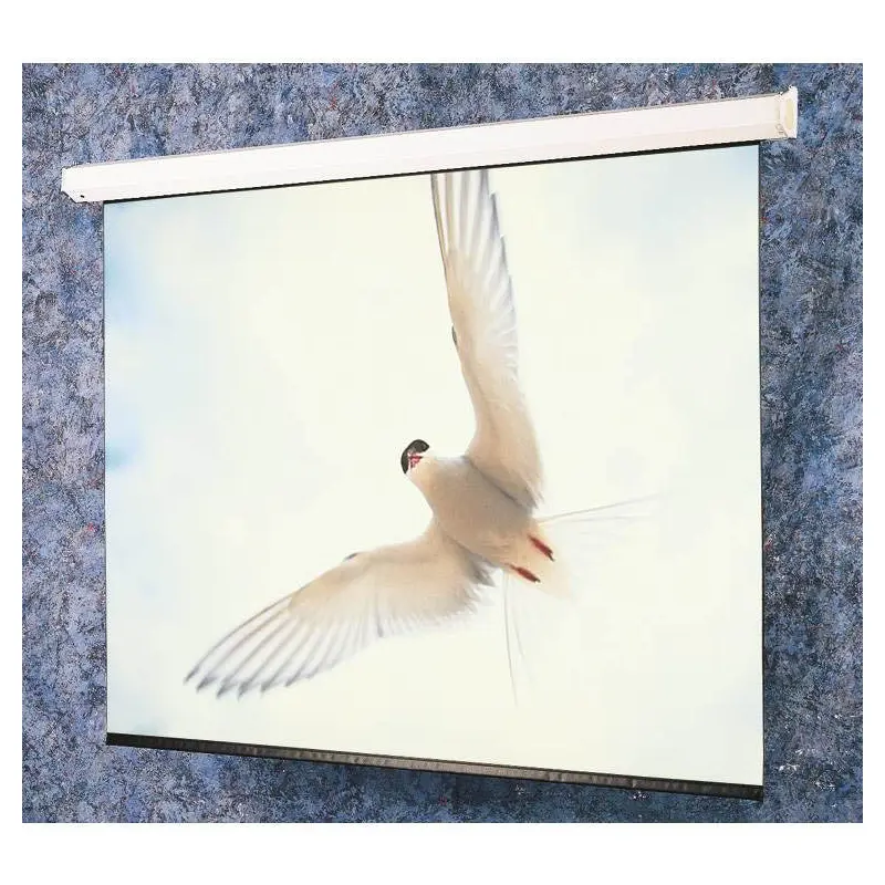 Draper 116341 Targa 210 diag. (126x168) - Video [4:3] - Matt White XT1000E 1.0 Gain - [CUSTOM]