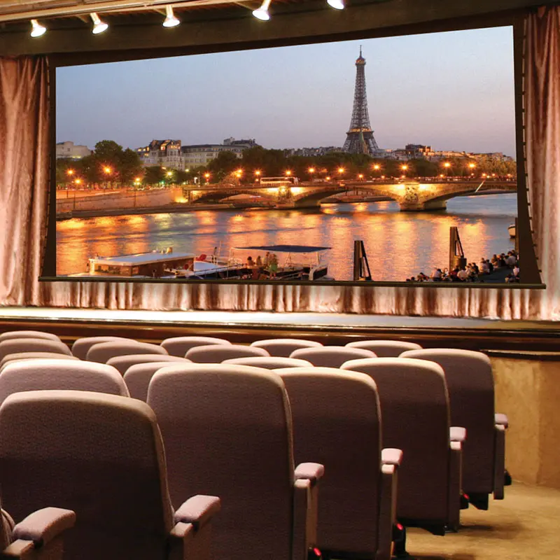 Draper 114608-Black Paragon/Series V 250 diag. (148x198) - Video [4:3] - 1.0 Gain - [CUSTOM]