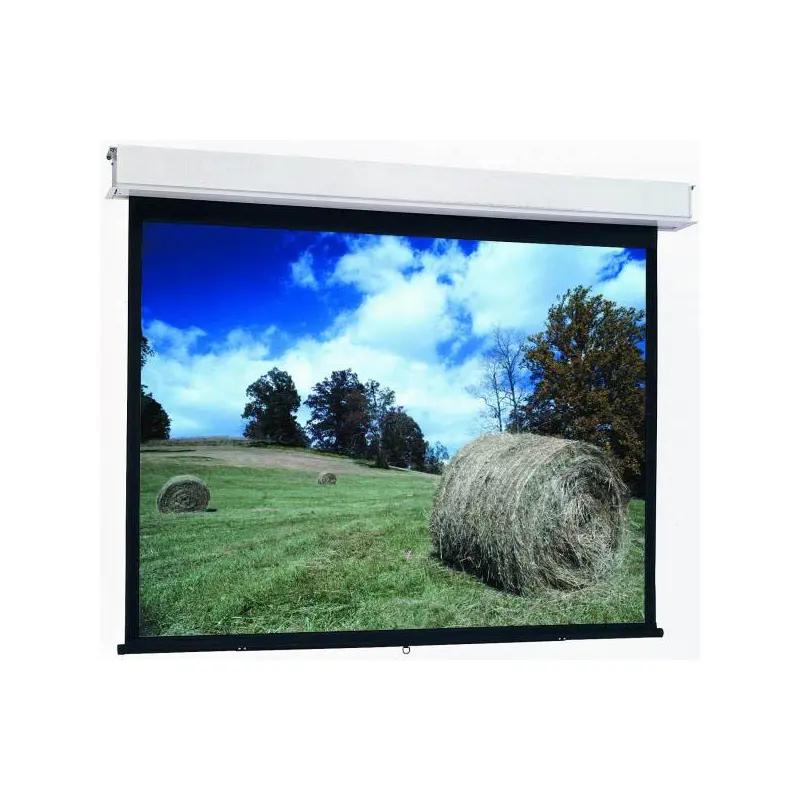 Da-Lite Advantage Manual with CSR Screen Only with Fabric and Roller Assembly For Model 34711