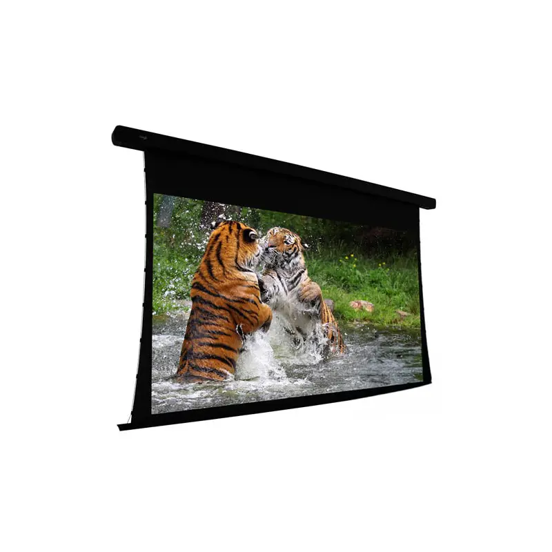 EluneVision 100" (49x87) 16:9 Reference Studio 4K Tab Tensioned 1.0 Gain Projector Screen