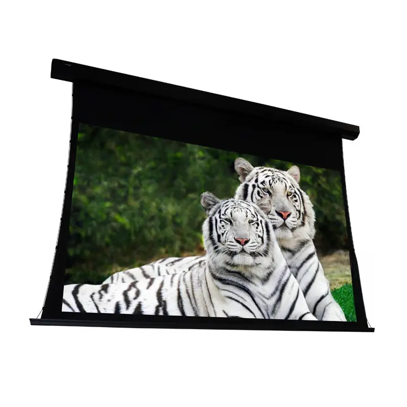 EluneVision 106" (52x92) 16:9 Reference Studio 4K Tab Tensioned AudioWeave 1.15 Gain Projector Screen