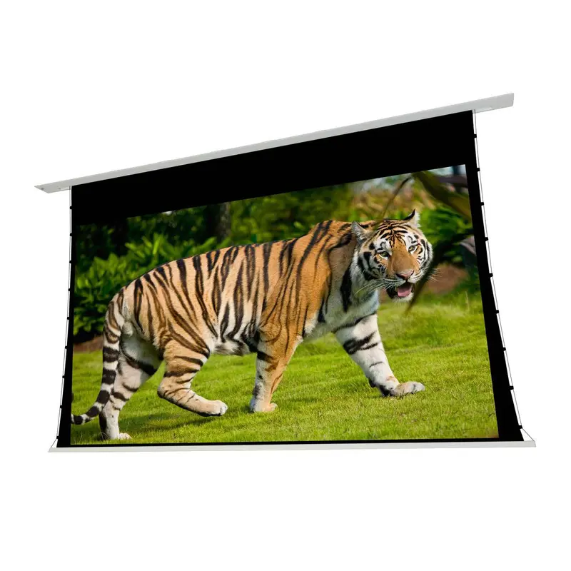 EluneVision 112" (55x98) 16:9 Reference Studio Tab-Tensioned In-Ceiling Screen 4K+ 1.0 Gain Projector Screen - EV-TIC-112-1.0