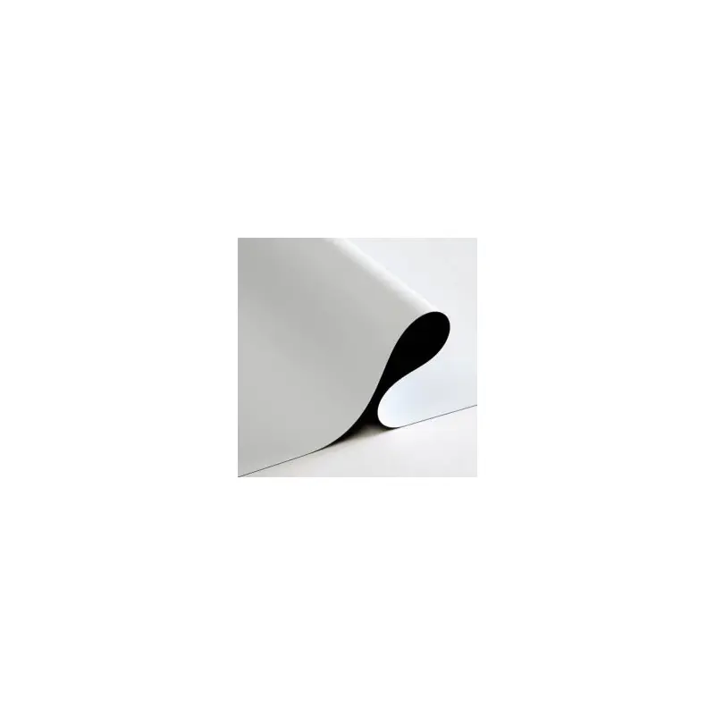 Epic 12 Vinyl Front Projection W/B