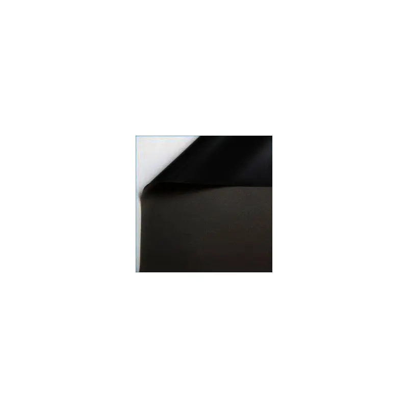 Epic 12 Vinyl Rear Projection Black