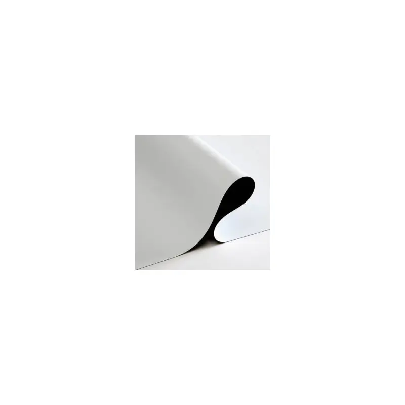 Epic 9 Vinyl Front Projection W/B