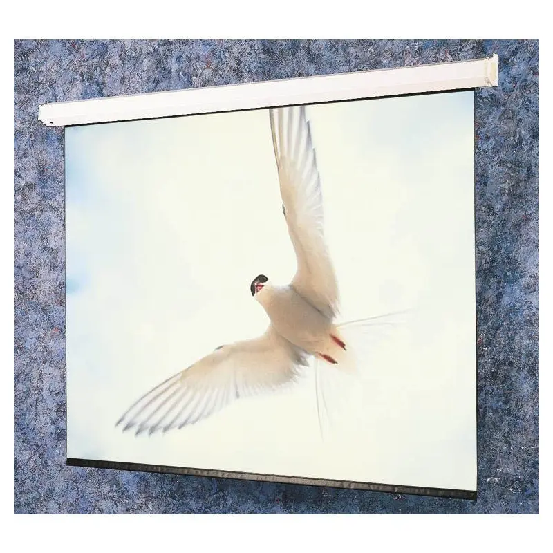 Draper 116342U Targa 235 diag. (141x188) - Video [4:3] - Matt White XT1000E 1.0 Gain - [CUSTOM]