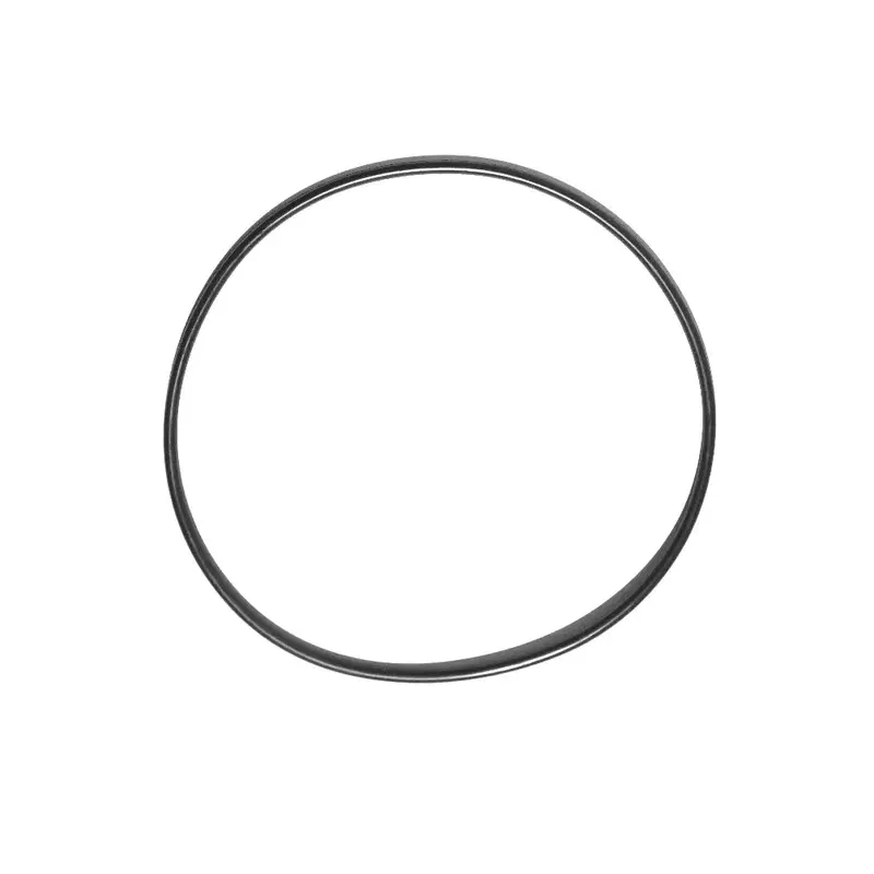 BlueRobotics Spare O-Ring for 1 Liter Watertight Box Lid