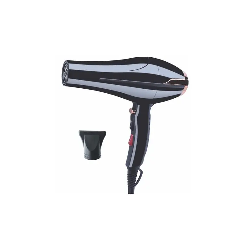 Sunbeam SPH-8888 Professional 2000W AC Hair Dryer