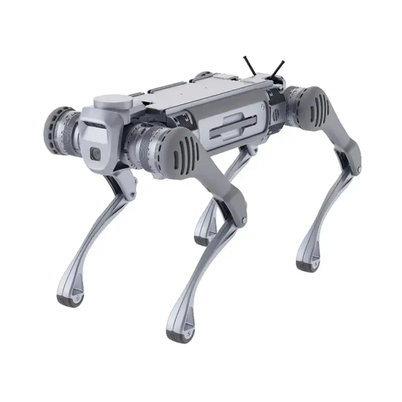 Unitree B2 Robotic Dog