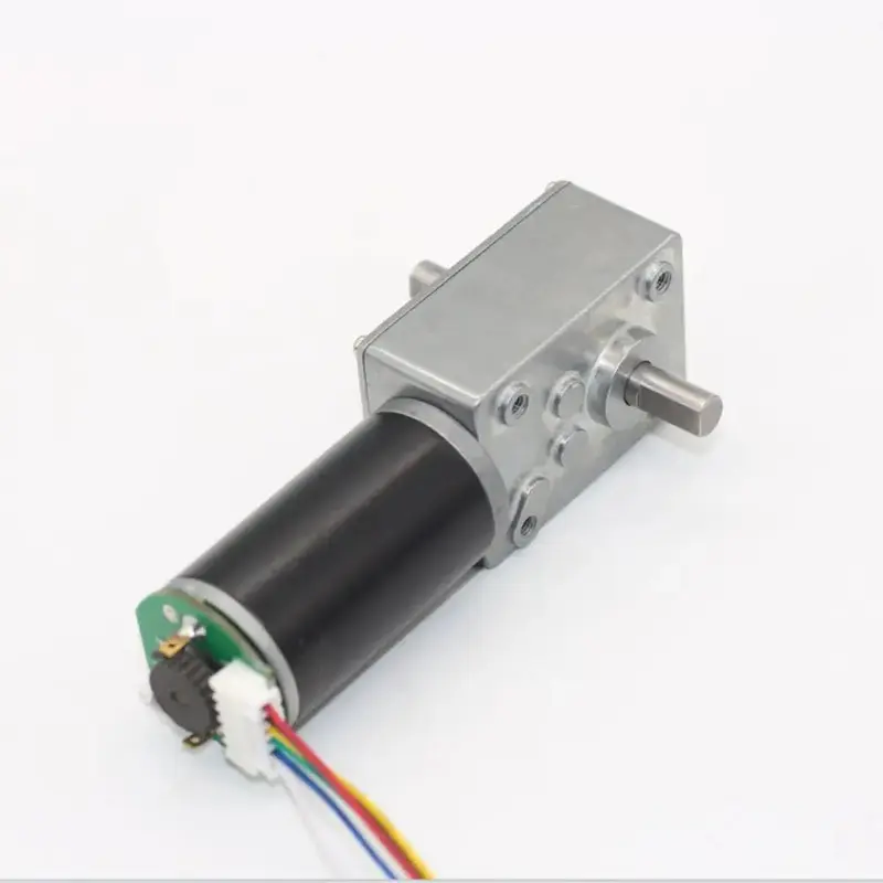 High Torque Dual Shaft 12V 40rpm 5840-31zy Worm Gear Reduction Motor W/encoder