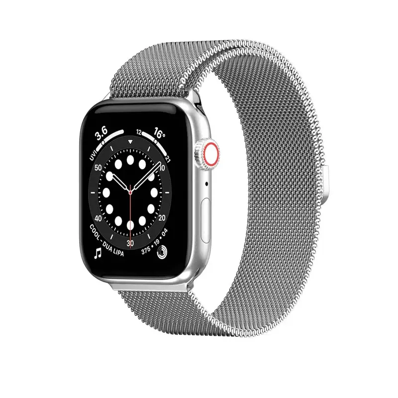 SwitchEasy Mesh Stainless Steel Apple Watch Loop (42mm +) - Silver